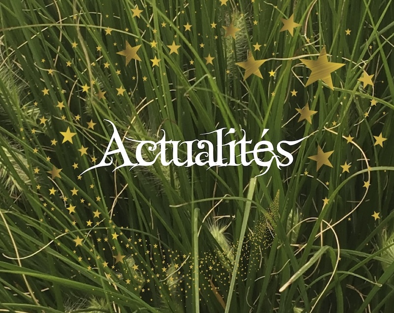 Actualites